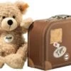 Fynn Teddybär Im Koffer, 28 Cm
