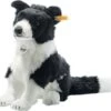 Jaycee Border Collie, 28 Cm
