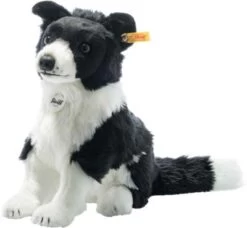 Jaycee Border Collie, 28 Cm