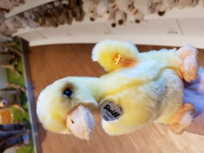 Steiff Kuscheltier Pilla Entenküken 14 Cm Gelb Kuscheltiere 4 Steiff Kuscheltier Pilla Entenküken 14 Cm Gelb Kuscheltiere – Bild 2