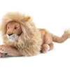 STEIFF 064135 Leo Löwe 45 Cm Liegend -Boutique-Laden für Babyprodukte steiff 064135 leo lowe 45 cm liegend