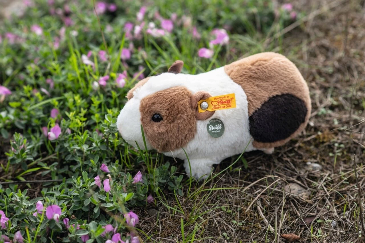 STEIFF 074547 Teddies For Tomorrow Dalle Meerschweinchen Mit Quietsche 22cm Weiss/braun/schwarz 4 STEIFF 074547 Teddies For Tomorrow Dalle Meerschweinchen Mit Quietsche 22cm Weiss/braun/schwarz – Bild 2