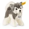 STEIFF 104985 Bernie Husky 17 Cm Grau/weiß Stehend 2 STEIFF 104985 Bernie Husky 17 Cm Grau/weiß Stehend -Boutique-Laden für Babyprodukte steiff 104985 bernie husky 17 cm grau wei stehend